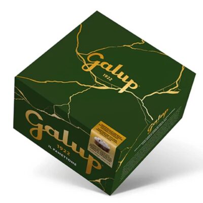 Panettone à la crème de pistache 900g galup